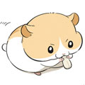猫和仓鼠 猫和仓鼠